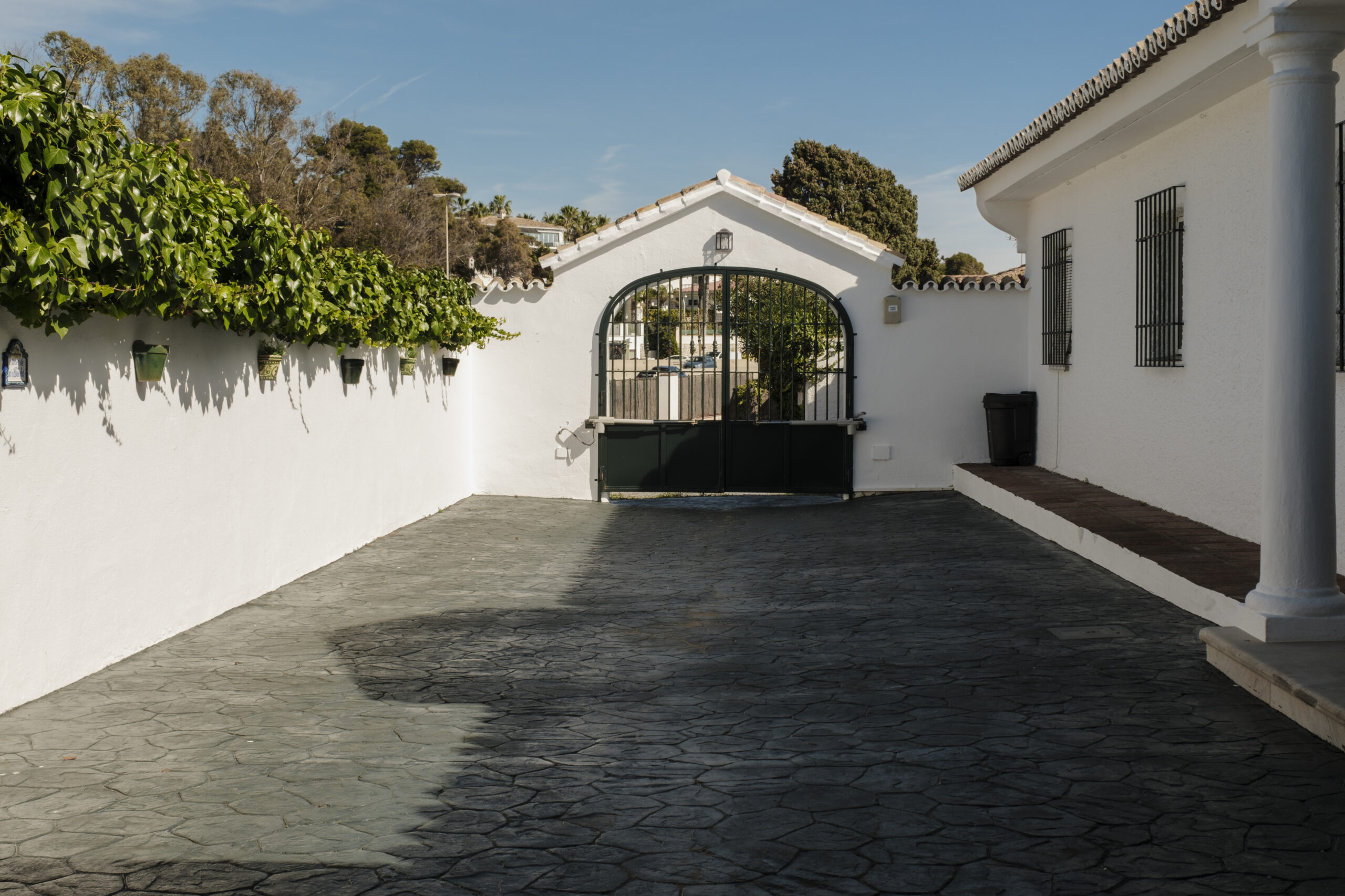 La Dorada063